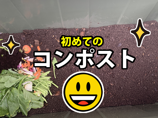 ミミズコンポストを始める