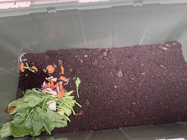 コンポストを始めた当初