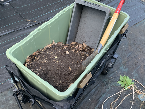 腐葉土を集める