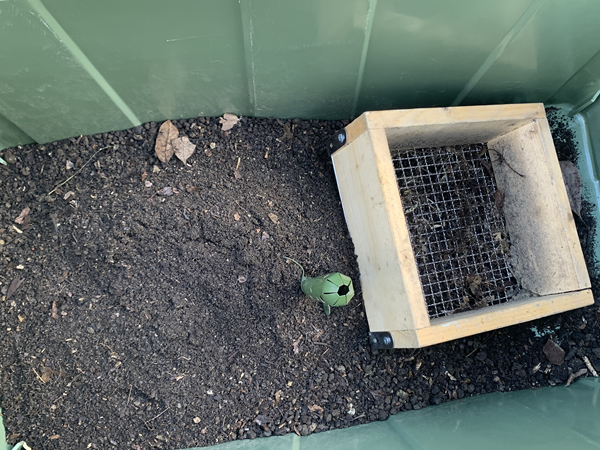 土ふるいを使って、腐葉土内のサイズの大きい枯れ葉と石などを分ける