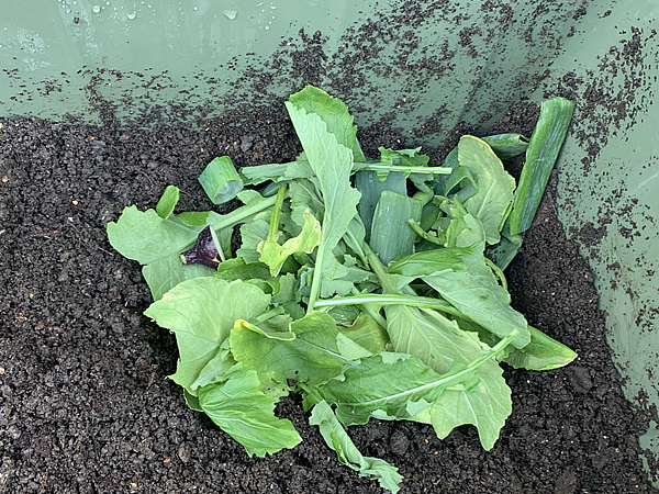 生ゴミの入れ方