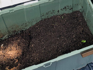 ミミズコンポスト