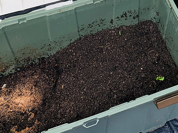 堆肥が増えてきた