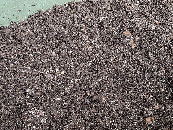 コンポスト内はサラサラな堆肥
