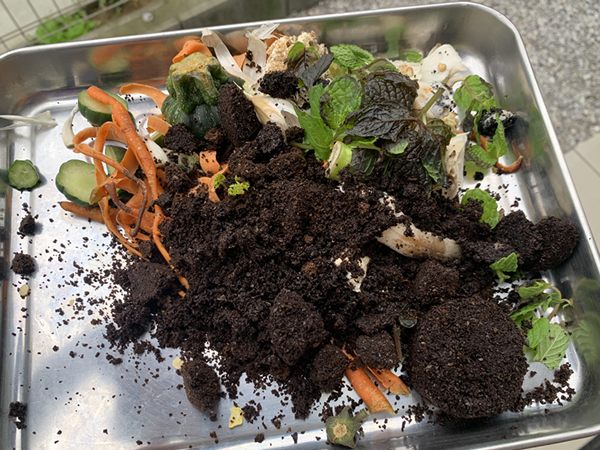 コンポストへ投入する生ゴミの写真