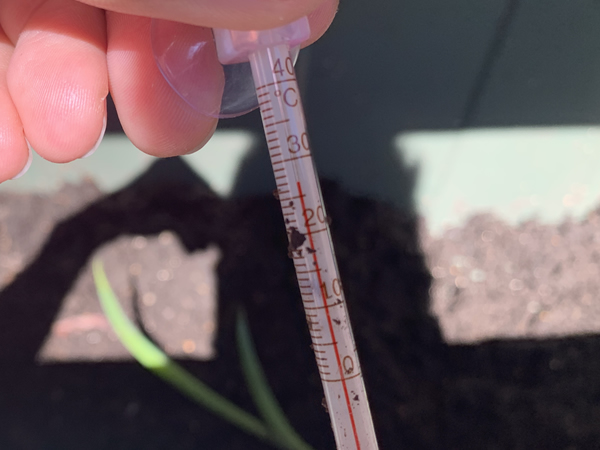 この日の土の温度は約27度でした。