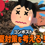 コンポストの夏対策を考える