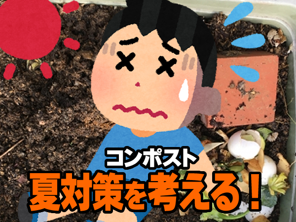コンポストの夏対策を考える