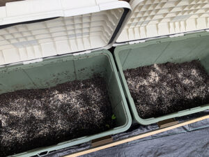 我が家のコンポスター