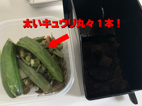 水分の多い野菜クズ、生ゴミ