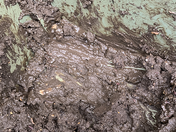 コンポスターの底は泥水