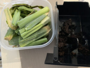 ミミズコンポストにネギを入れる