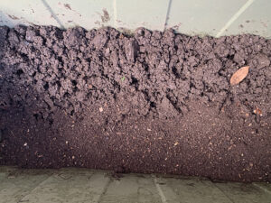 コンポストへ腐葉土を入れる