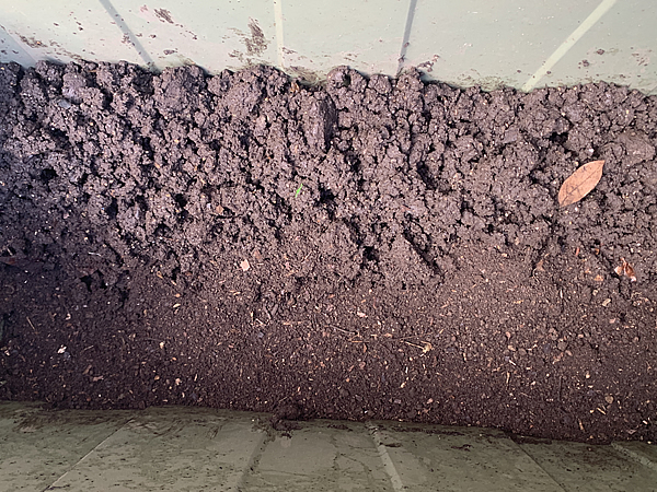 新しい腐葉土は、底面に敷く事にする