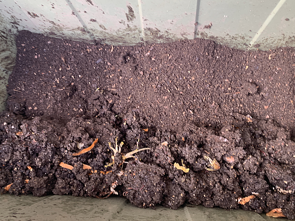 手前と奥と、腐葉土を敷く