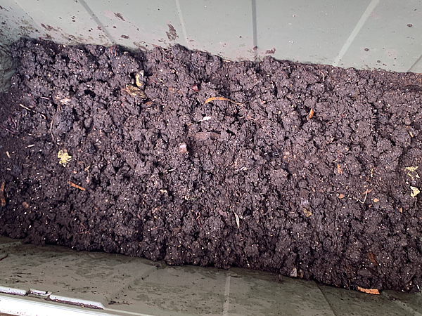 最後に水分が多めの土（元々コンポスターに入っていた土）を上部へかける。その後、追加で少し腐葉土も振りかける