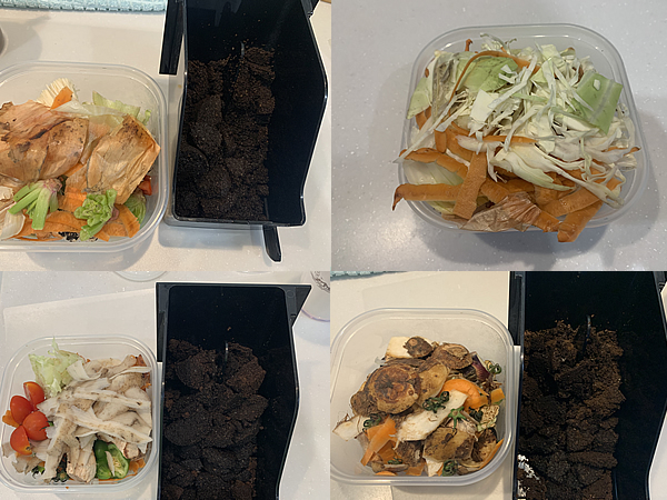 最近与えた野菜クズの写真