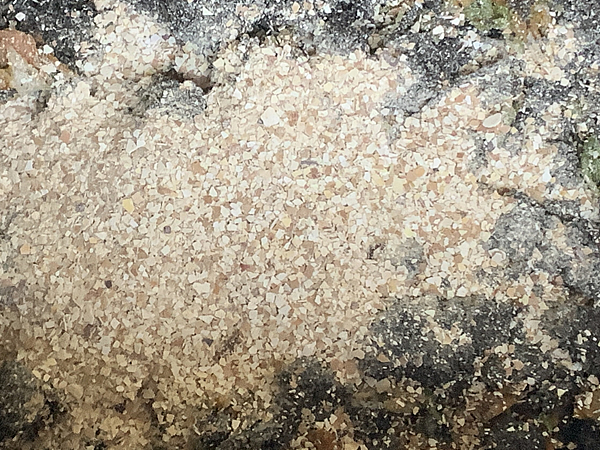 細かくした卵の殻