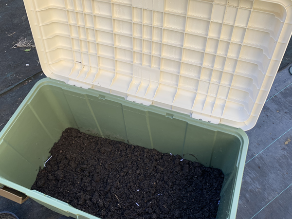 フタ付きが僕は嬉しい