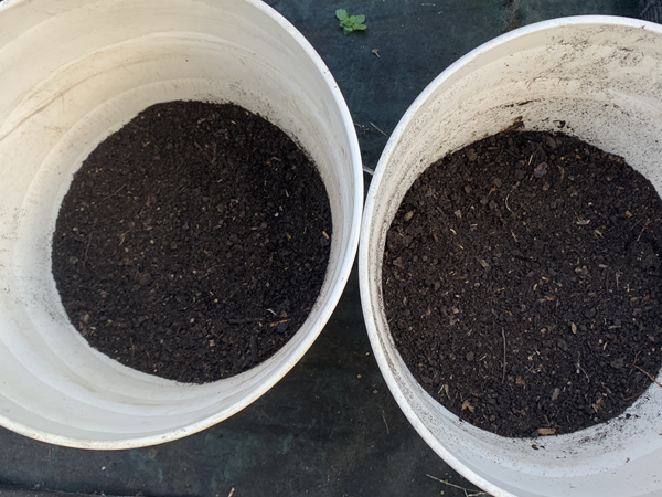 プランターをコンポストとして使用