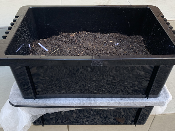 コンテナボックスをカインズホームセンターで購入