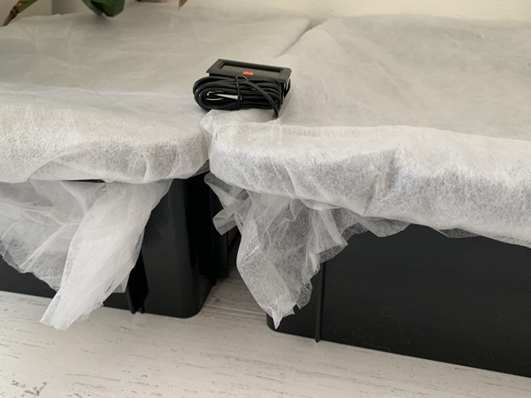 シマミミズの室内飼育の様子