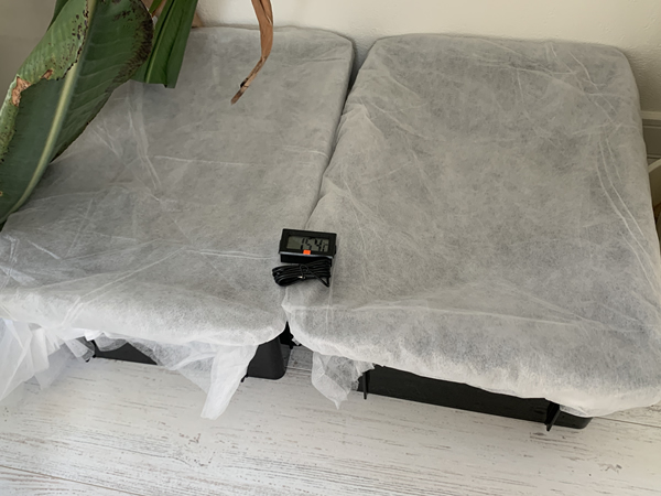 シマミミズの室内飼育用にコンテナボックスを使用する