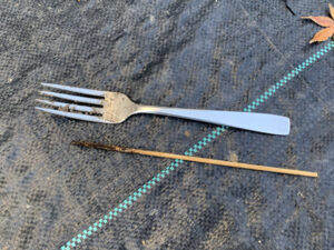 フォークと竹串