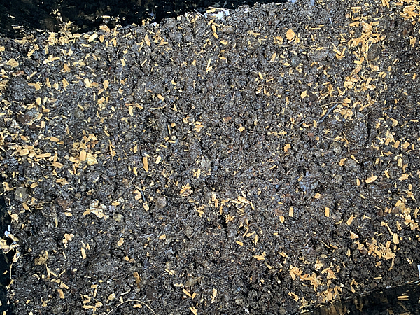 お試しの床材を抜き取る