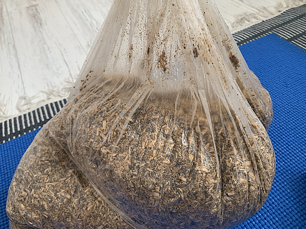 発酵が始まると袋内の空気が無くなる