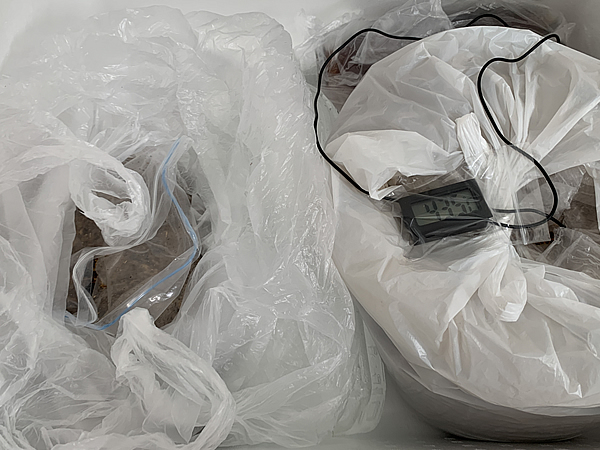 発酵中の床材の袋の口をあけて、空気が出入りできる状態にする