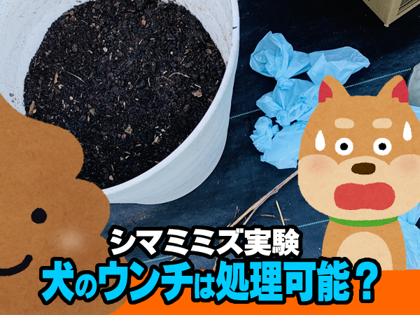 ペット（犬や猫）の糞（うんち）はこのんポストの要領で処理が可能か？