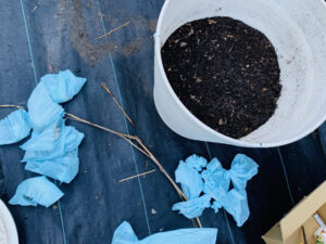 ペットのフン、うんちをコンポストで処理できるか実験