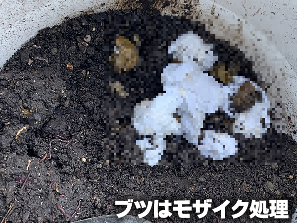 ブツの写真にはモザイクをかけました