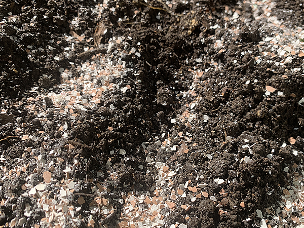 コンポスター内へ卵の殻をふりかける