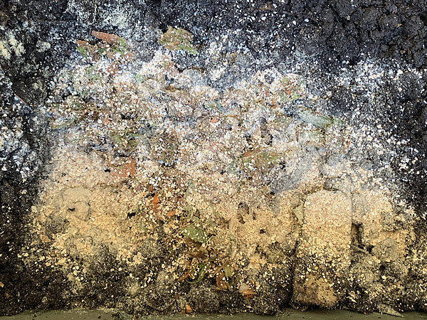 野菜クズ、卵の殻の上に米ぬかをかける