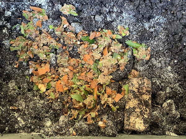 細かく刻んだ野菜クズ