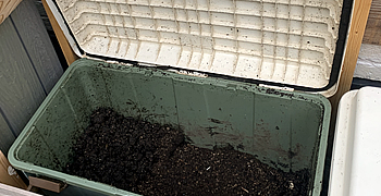 ベランダボックスをコンポスターに使用