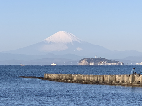 逗子湾からの眺め