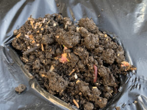 コンポストの土を被せる