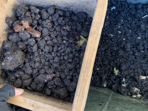 コンポスターの土をメンテナンスする