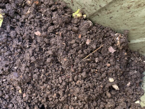 最近の土の様子