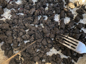 土の固まりを崩す