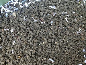 乾燥した紙に湿った土をのせて、水分の調整をする