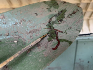 スコップも活用