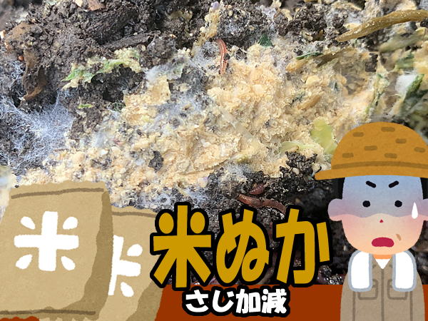 ミミズコンポストの生ごみ入れ（エサやり）失敗事例。米ぬかで実験