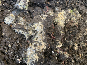 入れ過ぎた米ぬか