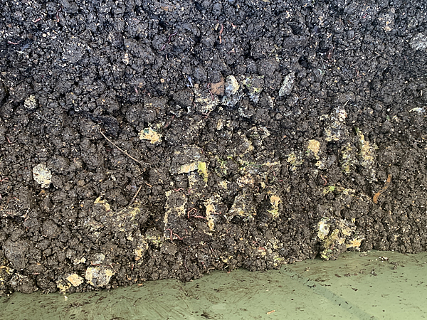 残った米ぬかは周辺の土とよく混ぜる