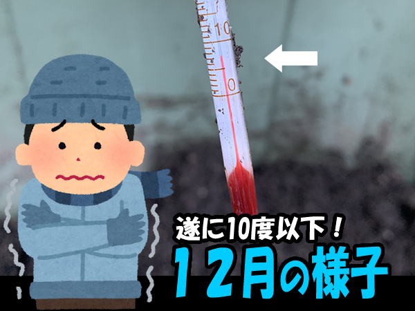 ミミズコンポスト、冬の温度が気になる！