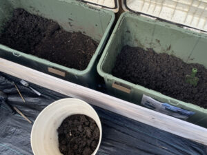 容器としてプランターを使用する場合